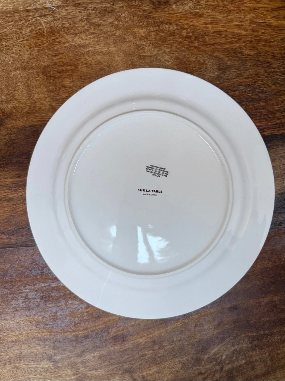Sur La Table Cream Dinner Plates with Brown Floral Vine Pattern - Set of 3